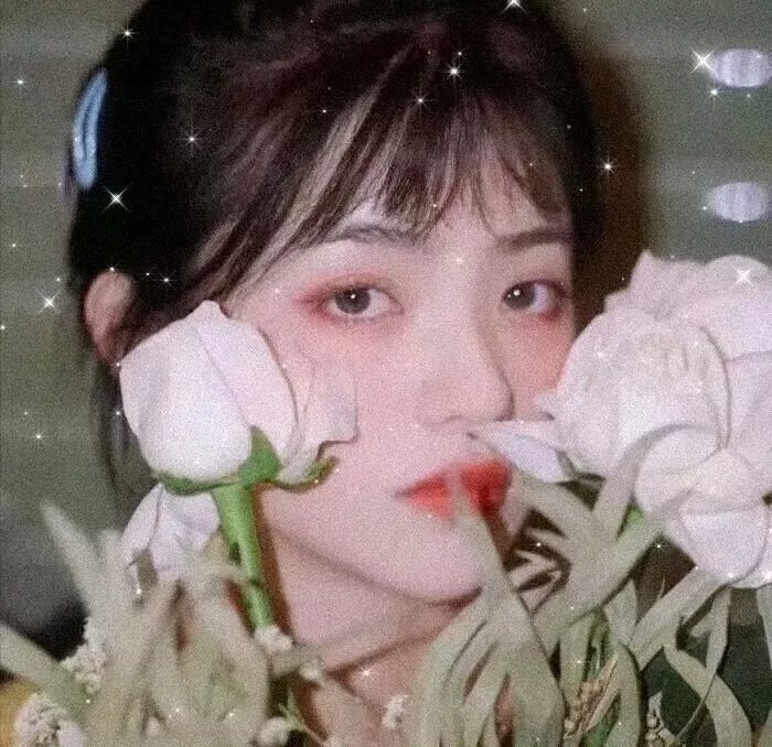 性感野兽